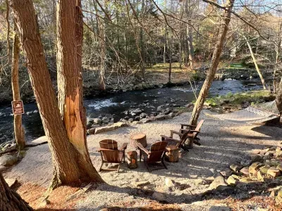 Why Families Love Bearly Roughing It in Lake Naomi featured image