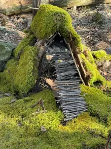 A living fairy village — every guest adds their own creation