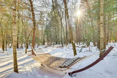 Relax in nature under the trees in this hammock