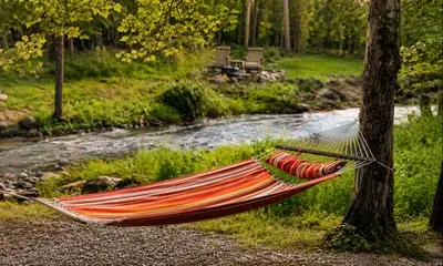Sway in the hammock as
the creek slips by and the
forest settles in.