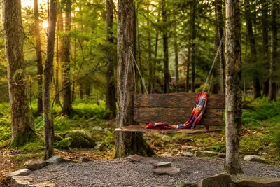 A rustic woodland swing
creates a storybook pause
beside the creek.