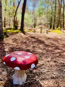 Explore our magical fairy village — a guest favorite - you add to the collection