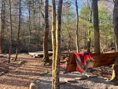 Swing bench overlooking the creek — perfect morning coffee spot