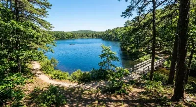 Cape Cod's Hidden Trails: 5 Coastal Hikes You Must Experience featured image