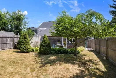 Unwind and reconnect in your private backyard oasis! Perfect for sun-drenched BBQs, starlit evenings, and quality family time.