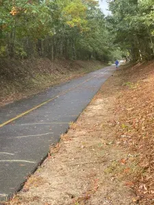 Cape Cod Rail Trail steps from house