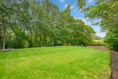 Private, tree-lined lawn with plenty of space to relax and unwind