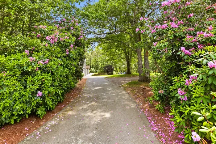 Scenic, tree-lined driveway with lush gardens and blooming flowers