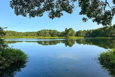 Peaceful lakefront with mirror-calm water and lush forest views