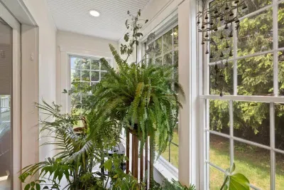 I never tire of green spaces