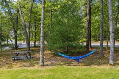 Perfect hammock spot, nestled between the trees.