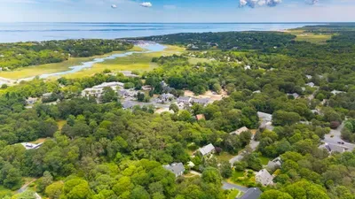 Peaceful coastal neighborhood with lush greenery and water views