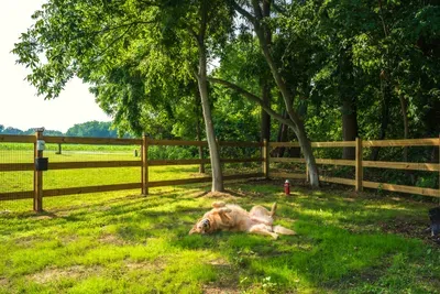 FarmHouse 130 - image 256 of 303