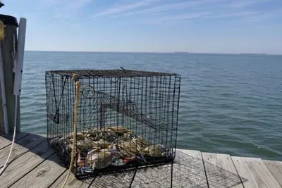 Oyster Bay Getaway - image 117 of 155