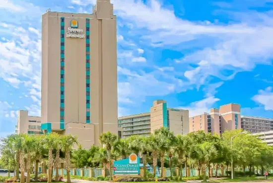 Palm-lined resort high-rise with bright skies and a classic coastal feel