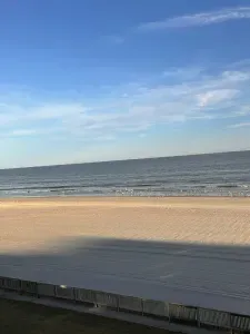 Beauty on the Beach