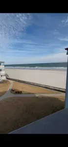Beauty on the Beach