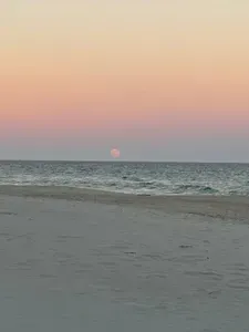Beauty on the Beach