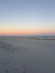 Beauty on the Beach