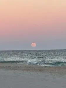 Pastel sky and moonrise over gentle surf—serene beachfront views.