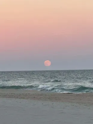 Pastel sky and moonrise over gentle surf—serene beachfront views.