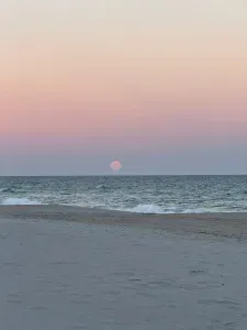 Oceanfront serenity: pastel skies, wide sands, and gentle waves.