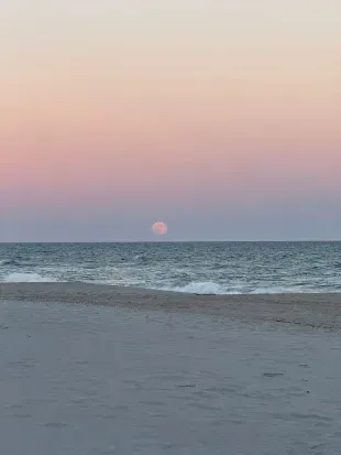 Oceanfront serenity: pastel skies, wide sands, and gentle waves.