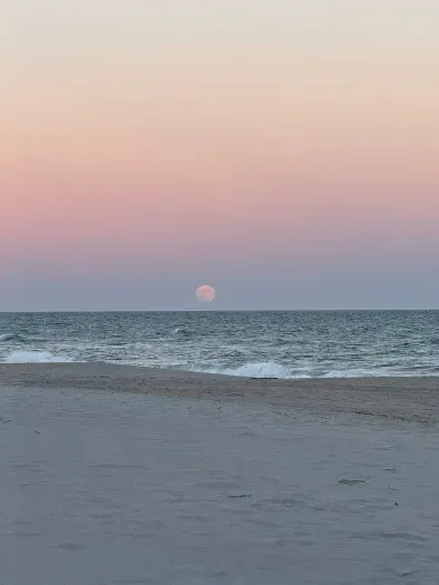 Oceanfront serenity: pastel skies, wide sands, and gentle waves.