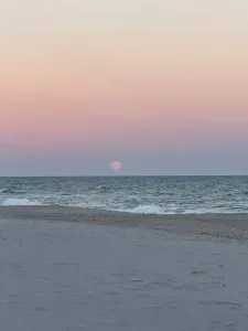Beauty on the Beach