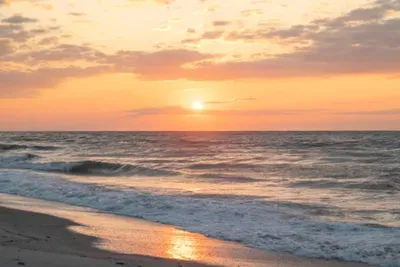 Beauty on the Beach