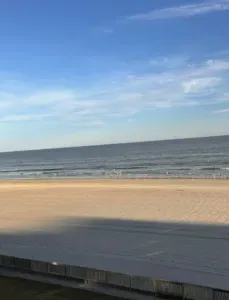 Beauty on the Beach