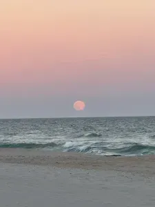 Beauty on the Beach