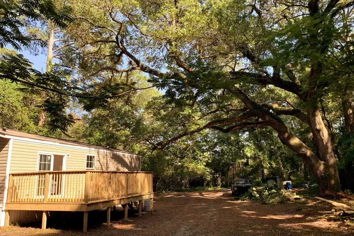 The Pirate Oak makes this property unique. This example of a Live Oak is common in the area and we've named it the Pirate Oak.