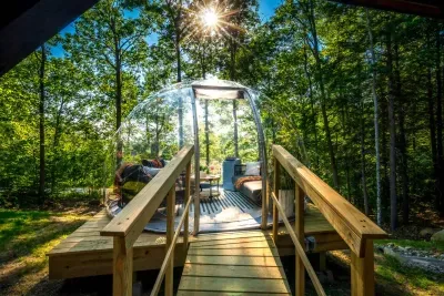 Unwind in a stunning outdoor living room under a transparent dome, surrounded by lush forest. Cozy seating, warm decor, and serene views make this space perfect for relaxing, reading, or connecting with nature in absolute tranquility.