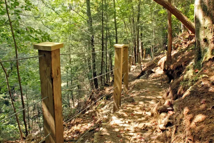 Trail to Deer Lick Falls!