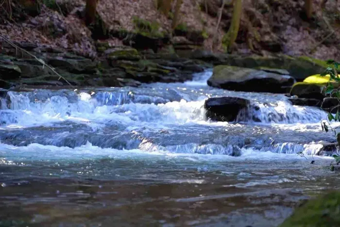 Plenty of trails located in Monteagle