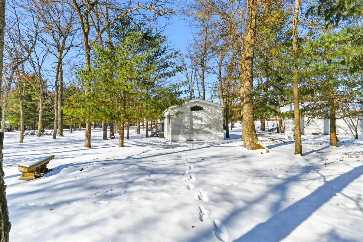 Rustic white cottage among snowy trees under blue skies at Feather Trail Guest House, a winter vacation rental in Nekoosa,