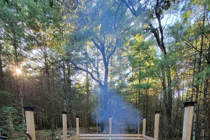 Gather by the fire with your pups at this peaceful woodland retreat, where fresh air and cozy evenings come naturally.