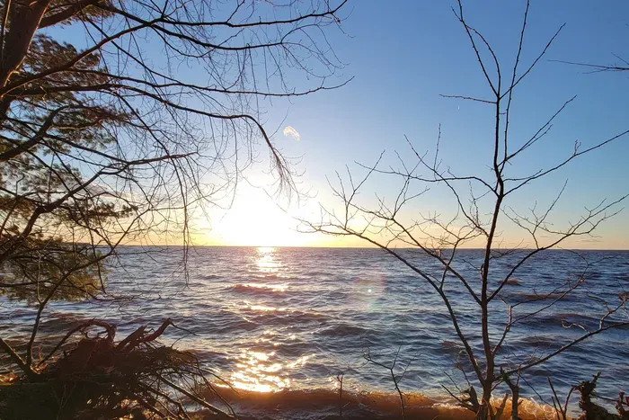Watch the sun melt over the water from a quiet shoreline retreat, framed by trees and golden evening light.