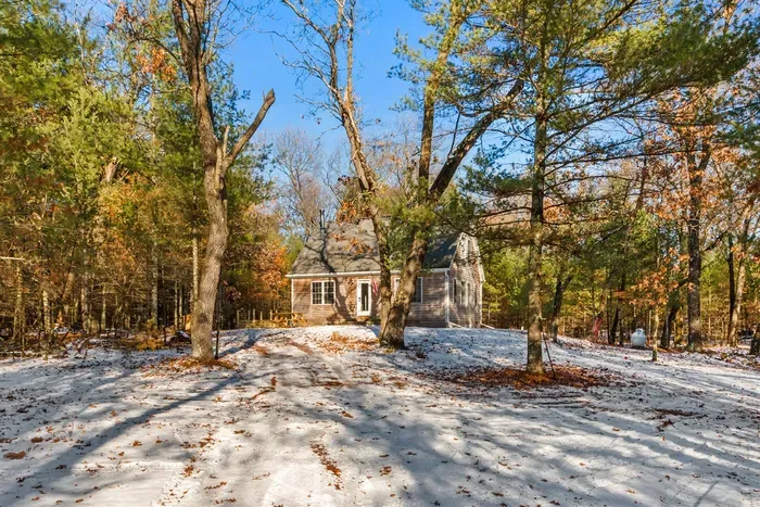 A peaceful outdoor area surrounded by vibrant greenery, creating a refreshing and scenic retreat.