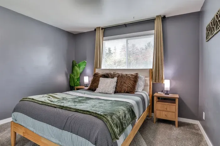 Comfortable and inviting bedroom featuring soft carpeting, rich wall tones, and a large window that brings in natural light.