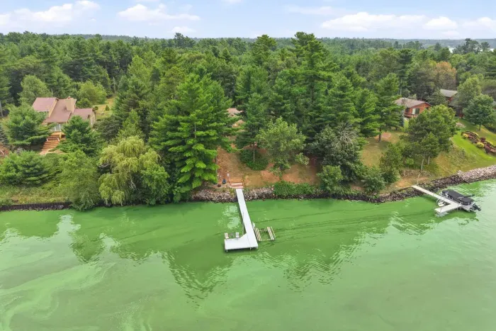 Embrace the ultimate waterfront retreat from above, where dense pines open up to direct shoreline access and endless days on the lake.