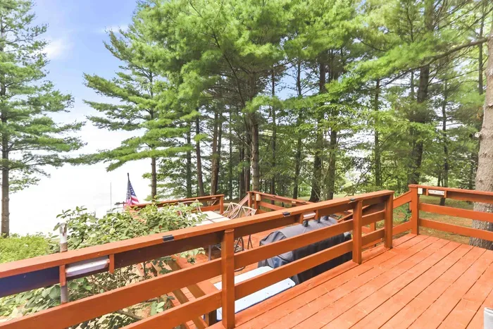 Soak in serene lake views from this multi-level wooden deck, complete with a gas grill for outdoor cooking nestled high among the pine trees.