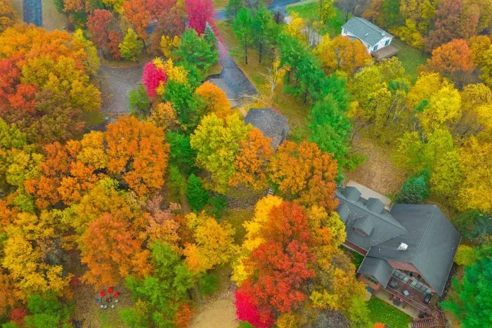 Hidden gem cabin surrounded by colorful leaves and quiet surroundings