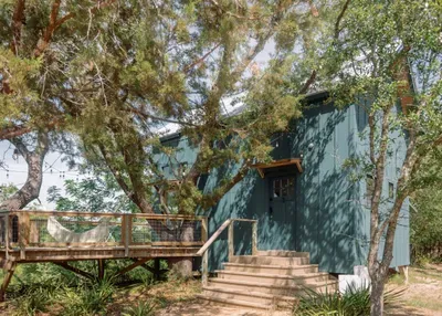 The Sycamore Treehouse - Front Entrance