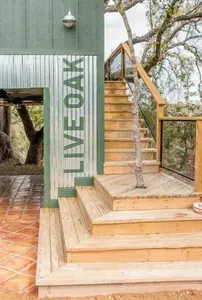 The Live Oak - image 28 of 42