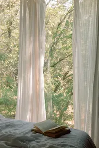Acorn Treehouse Window View