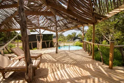 Loungers under Canopy at Blue Sage