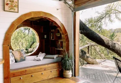 The-Live-Oak-at-HoneyTree