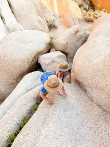 Joshua Tree Kid Friendly Hikes: Family Trails, United States featured image
